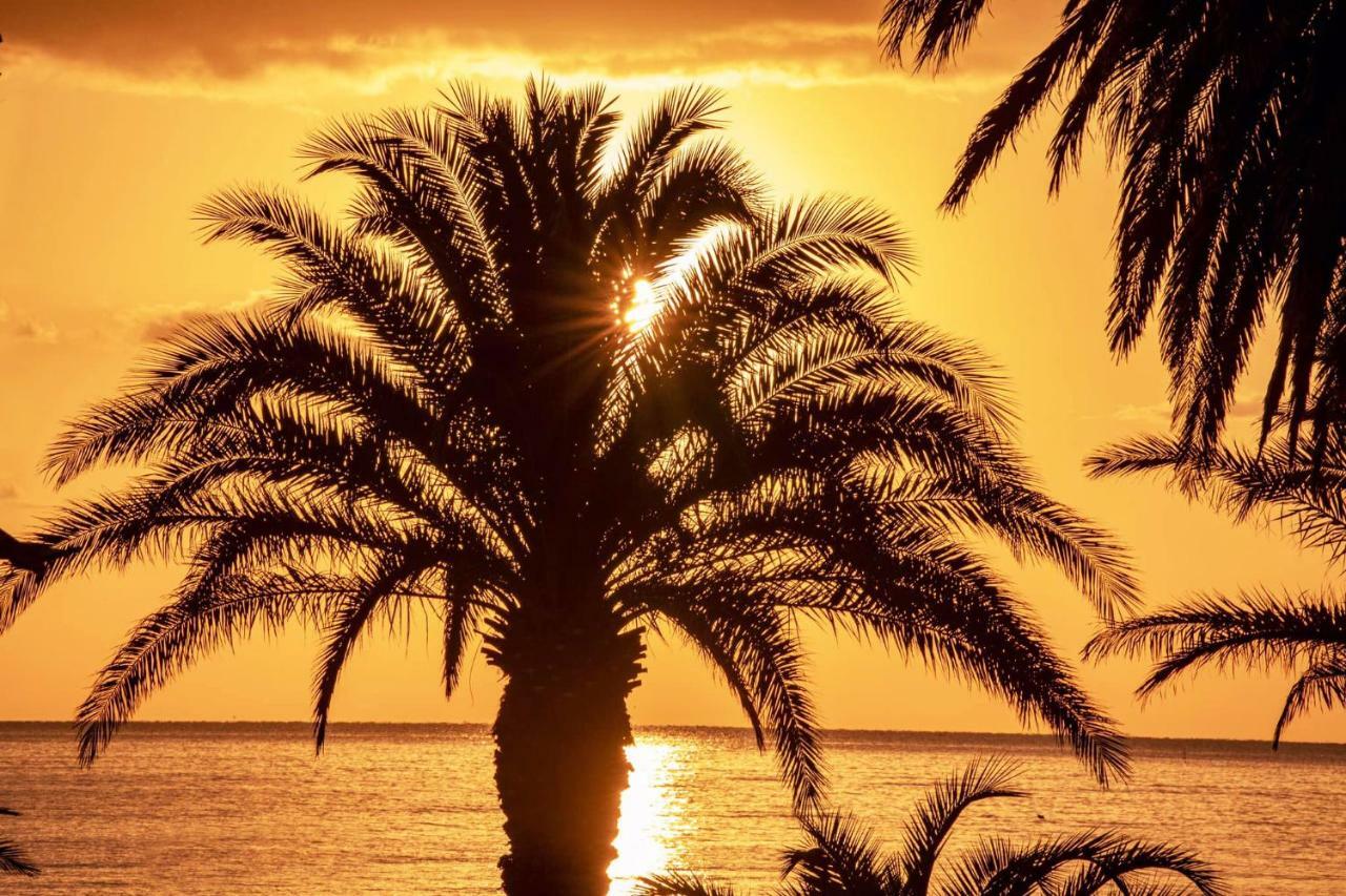Mare D'Amare Bed and Breakfast San Benedetto del Tronto Exteriör bild